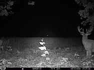 08100526