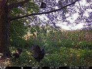 09100177