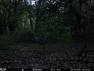 09100907