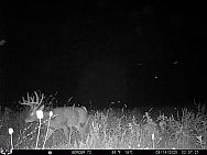 09140323