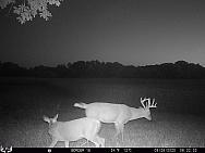09280707