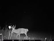 10200791