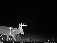 10200793