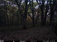 10210320