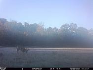 10220122