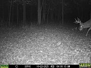 10220137