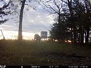 10300232