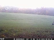 10310224