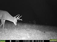 11030410