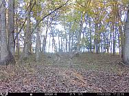 11030716