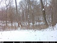 12020482