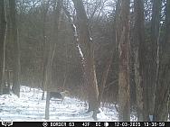 12030476