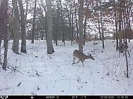 12030604