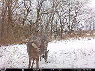 12080203