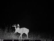 12090748