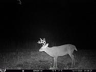 12110426