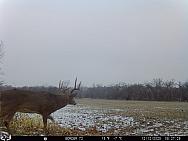 12120782