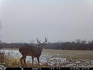 12120783