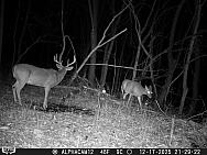 12170908