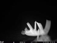 12190570