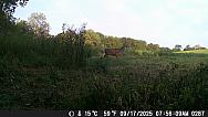DSCF0287