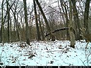 IMAG0117 (2)