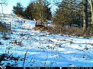 IMAG0227