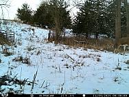 IMAG0279 (2)