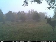 IMAG0311