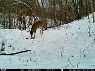 IMAG0329 (2)
