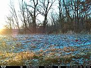 IMAG0569