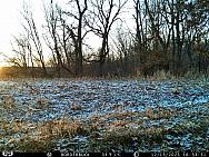 IMAG0577