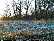 IMAG0579