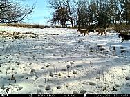 IMAG0587 (2)