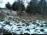 IMAG0621 (2)