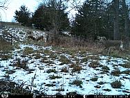 IMAG0631