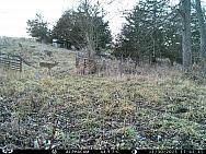 IMAG2338