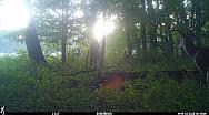IMG 0202