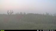 IMG 1296 (1)