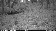 PICT0160 202508191822CqFq0