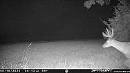 PICT1085 202508100514m8Hs5