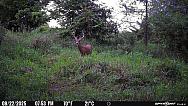 PICT5479 202508230121WUA9E