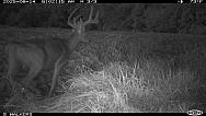 c93291e0-aff2-4790-8137-cb4e48204084