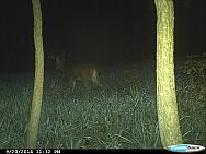 CDY 0066