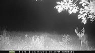PICT0073