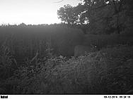 PICT0196