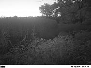 PICT0197