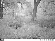 PICT0239