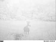 PICT0259