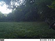 PICT0623 (2)